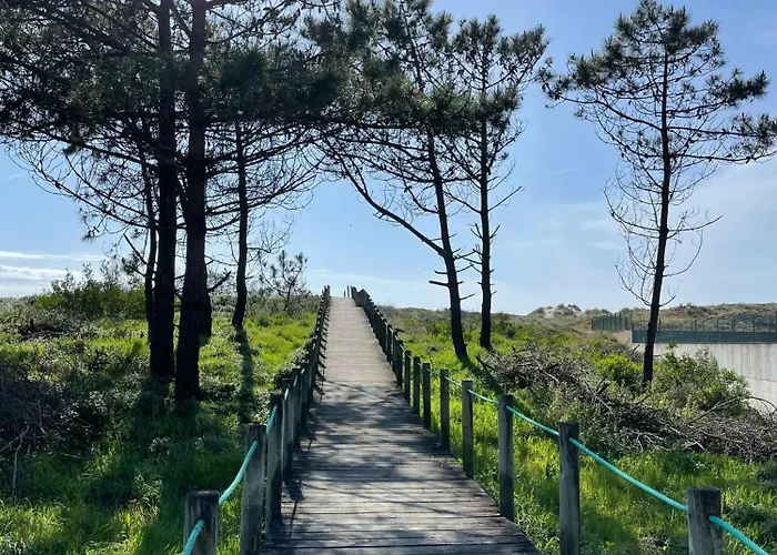 Appartement In - Magno House