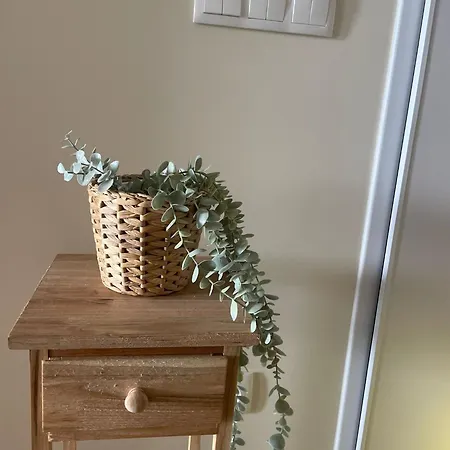 In - Magno House Apartment *