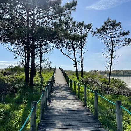 아파트 In - Magno House